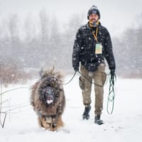 Bailey, pies do adopcji