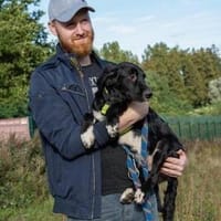 Herzensbrecher Bobby sucht seine Familie, Hund zur Adoption