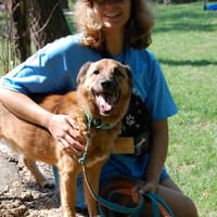 Maślak, pies do adopcji