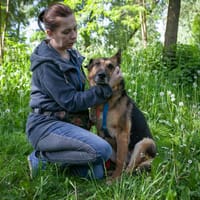 Nora, suczka do adopcji