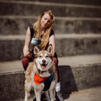 Sari, suczka do adopcji