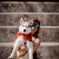 Balko, pies do adopcji