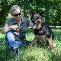 Baltazar, pies do adopcji