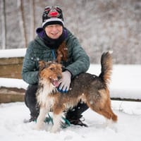 Kenai, pies do adopcji