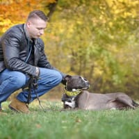 Thanos, pies do adopcji