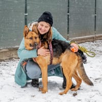 Juko, pies do adopcji