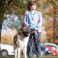 Apollo, pies do adopcji