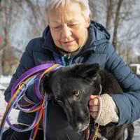 Swart, pies do adopcji