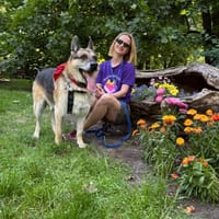 Felek, pies do adopcji