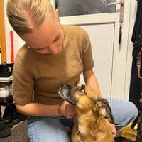 Raya ❤Pflegefamilie 27252 Schwaförden, Hündin zur Adoption