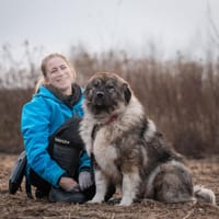 Yuna, suczka do adopcji