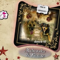 Mabrouka & Fanine, chienne à adopter