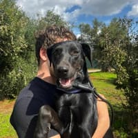 Bess, Hündin zur Adoption