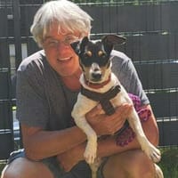 WARUM wird Pixie immer übersehen?, Hündin zur Adoption