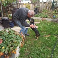 Kleine Lina🌺 sucht liebevolles Heim, Hündin zur Adoption