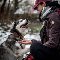 Nila, suczka do adopcji