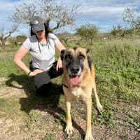 TANA   (Martina), chienne à adopter