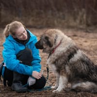 Yuna, suczka do adopcji