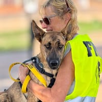 HUGO (Maria), chien à adopter