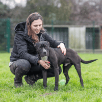 TURNER (réservé) OAA19720, chien à adopter