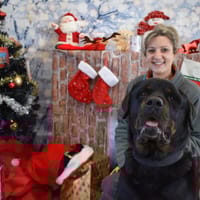 PIMPON, chien à adopter