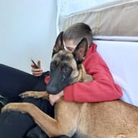 💕Maliha💕sucht ihre Menschen, Hündin zur Adoption