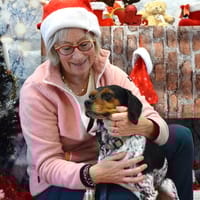 CHOUPY, chienne à adopter