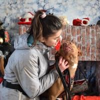 KAIRO, chien à adopter