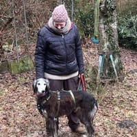 Tasia eine sanfte Seele, Hündin zur Adoption