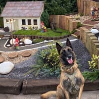 TYGA, chienne à adopter