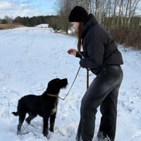 Czarek, pies do adopcji