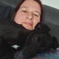 Amy - sehr verkuschelte Welpin, Hündin zur Adoption