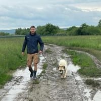 Regina  sanfte Seele sucht Gnadenplatz, Hündin zur Adoption