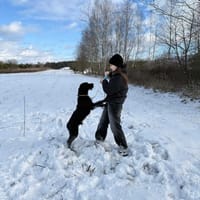 Czarek, pies do adopcji