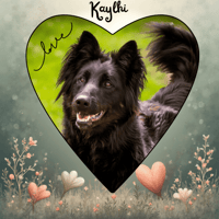 KAYLHI, chienne à adopter