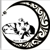 Holga, chienne à adopter