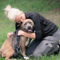 TAYSON, chien à adopter