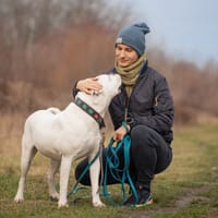 Kifer, pies do adopcji