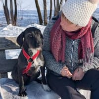 Schenken Sie Axa ihr Traumzuhause?, Hündin zur Adoption