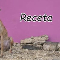 Die verschmuster Receta❤, Hündin zur Adoption