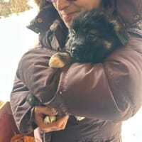 Zach, das Jahr fängt ja gut an, Hund zur Adoption