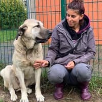 Chiquita, Hündin zur Adoption