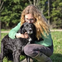 Leria, chienne à adopter