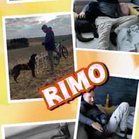 sanfter Riese Rimo auf PS 86637, Hund zur Adoption