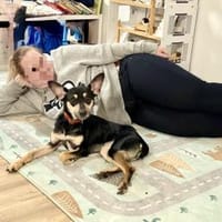 Maya jetzt quält Dich keiner mehr!, Hündin zur Adoption