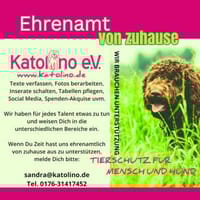 Ehrenamtliche Helfer gesucht!, Hund zur Adoption