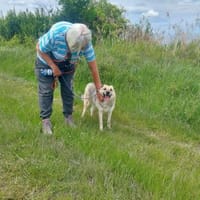 Clea sanfte Maus sucht ihre Menschen, Hündin zur Adoption