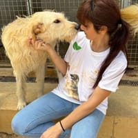 Greta, Hündin zur Adoption