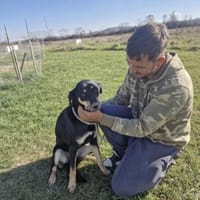 Alex💙 sucht Pflegestelle/Endstelle, Hund zur Adoption