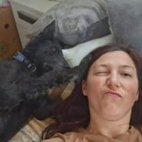 Gütiges Zuhause für liebenswerten Pepper, Hund zur Adoption